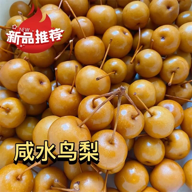 潮汕特产腌制水果泡鸟梨沙梨泡梨咸水鸟梨腌制酸甜口味鸟梨包邮