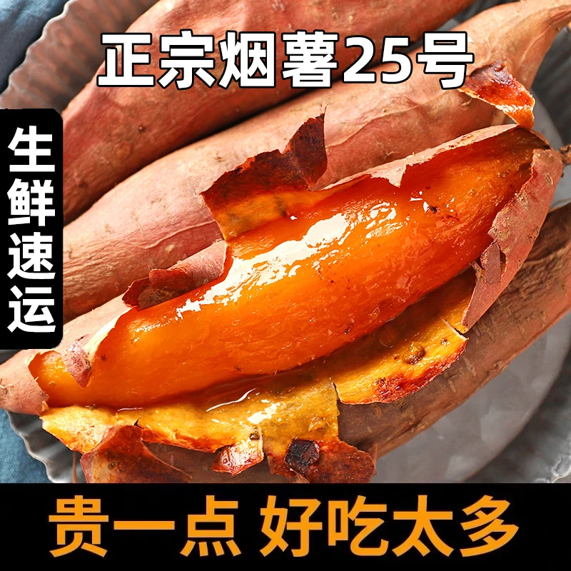 正宗烟薯25号3/5斤(糖心蜜薯)山东潍坊直发