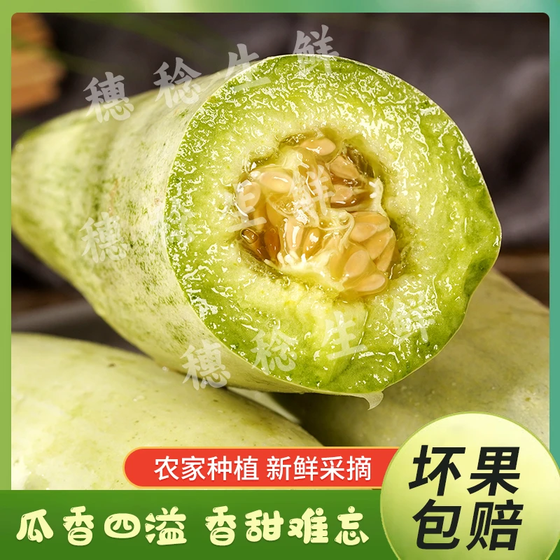 现摘山东薄皮羊角蜜甜瓜新鲜水果应季蜜瓜清甜清脆羊角脆产地直发