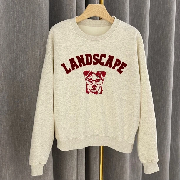 宽松圆领卫衣休闲百搭显瘦上衣冬季新款穿搭