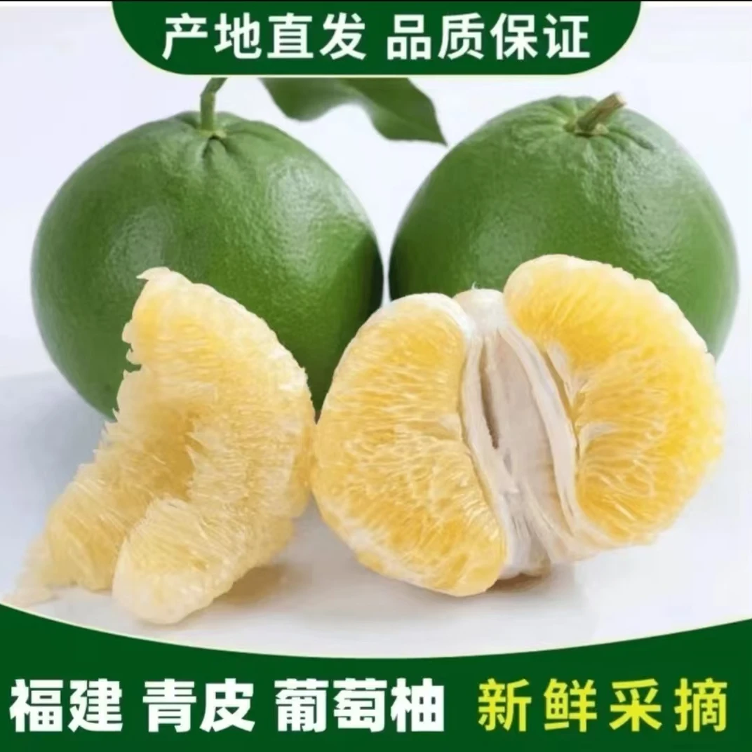 【陈竹专属】福建正宗青皮葡萄柚5斤装 坏果包赔