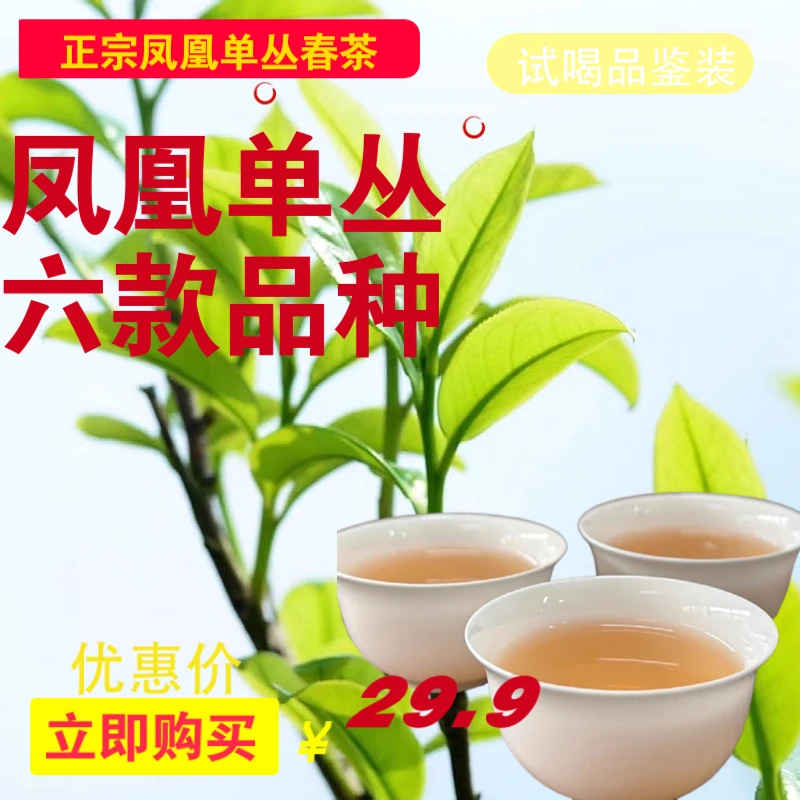 云顶丛正宗原产地凤凰单丛蜜兰香鸭屎香杏仁香雷扣柴宋种东方