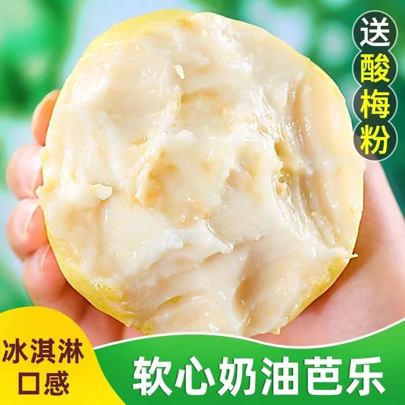广西白心芭乐当季番石榴软心冰淇淋奶油芭乐软糯好吃1/5斤不贵