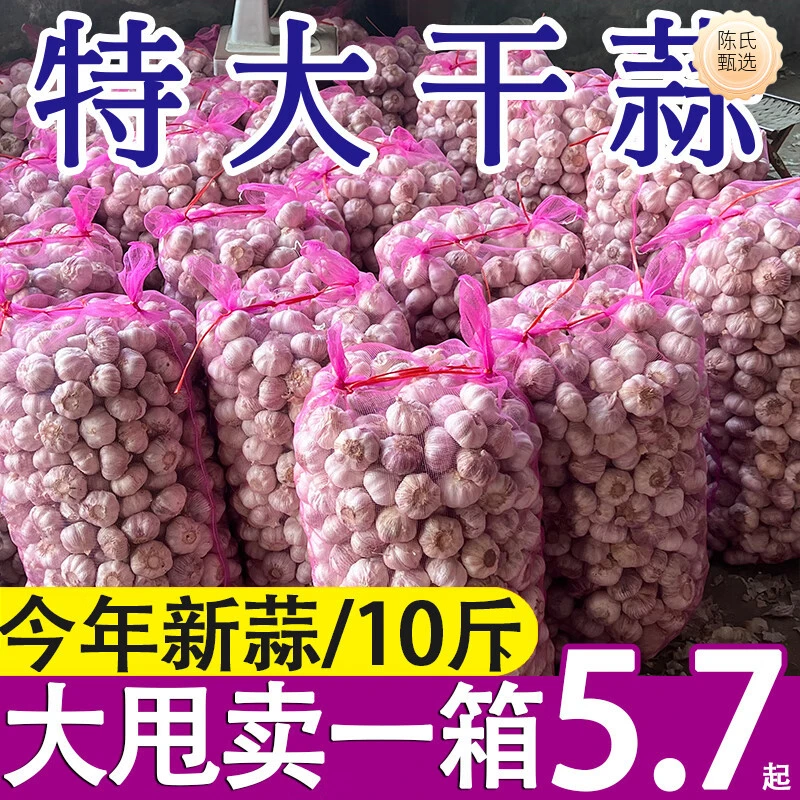 2023新蒜河南5斤装大蒜产地直销紫白皮蒜100g紫皮干大蒜种植精选