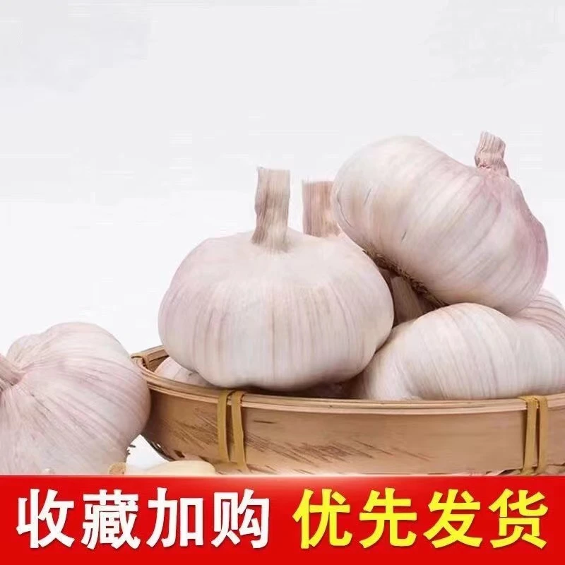 【超低价】新干蒜大蒜头农家干蒜大蒜头3/5斤种植100g紫白皮蒜天然