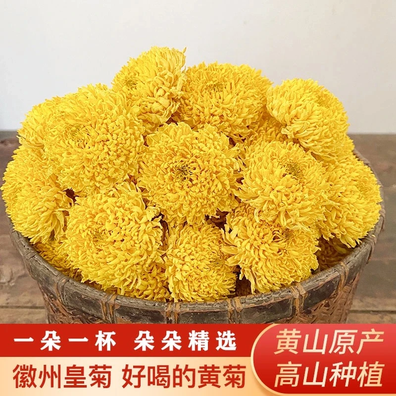 菊花茶徽州皇菊正宗安徽特产黄菊花泡茶婺源皇菊黄山特产花草茶叶