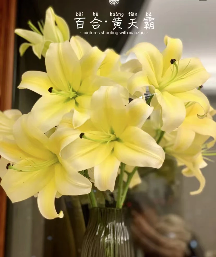 【黄天霸】黄天霸香水百合3头4枝，浓香型（坤）