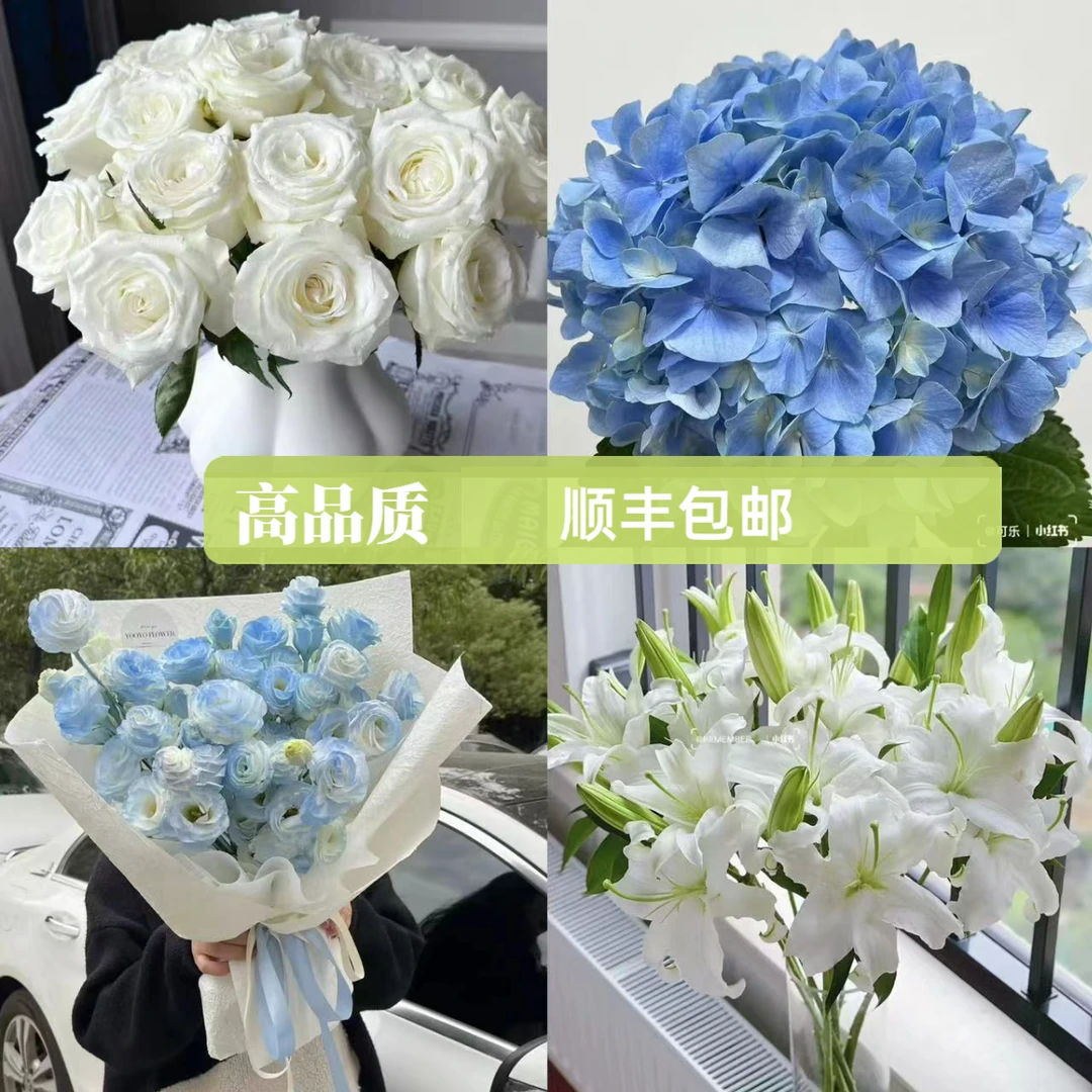 【顺丰包邮】骄傲10枝+西伯利亚10个头+碎冰蓝洋桔梗+蓝绣球1枝（坤）