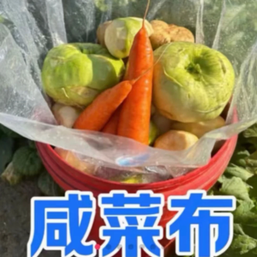 咸菜布拍一发二加厚