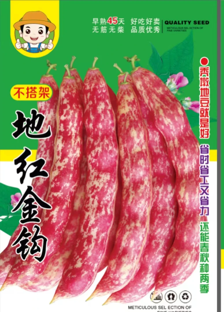 地红金钩豆角种子（不搭架）
