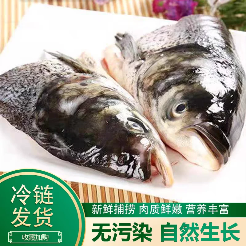 大鱼头大花鲢白鲢鱼头剁椒鱼头现杀新鲜大鱼头食材大头鲢鳙淡水鱼