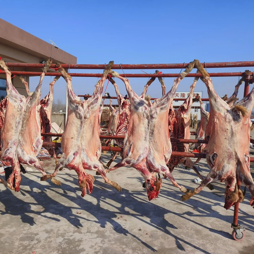 羊肉安徽特产笨山羊肉新鲜羊肉散养山羊肉风干