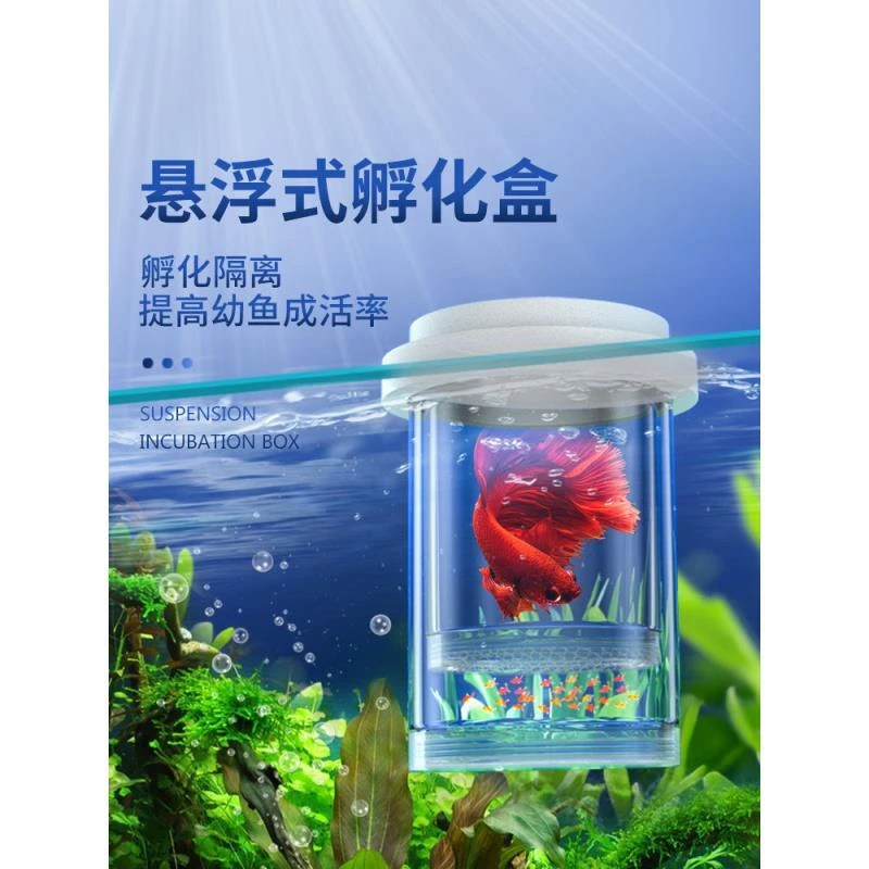 孔雀鱼育苗盒鱼缸小鱼鱼苗隔离盒母鱼幼鱼漂浮孵化盒悬浮式孵化器