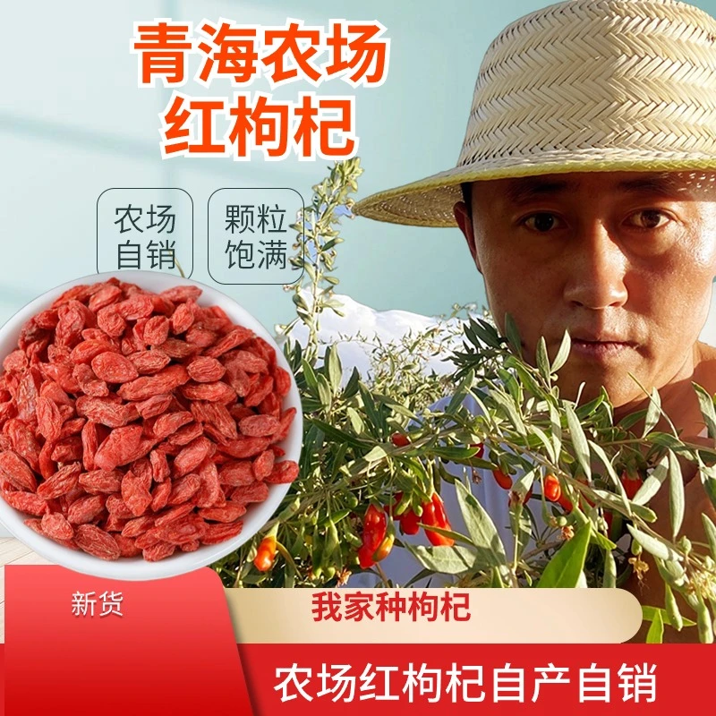 青海柴达木农场头茬大果红枸杞一斤 无熏染 自产自销 原产地发货