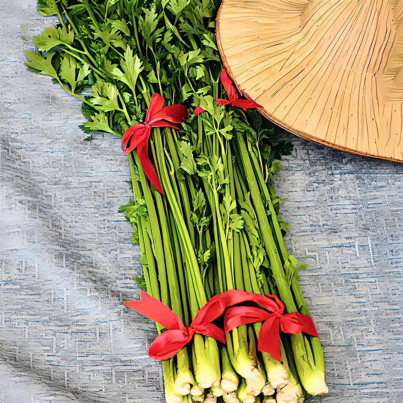 新鲜许村芹菜小芹菜青菜去老梗老叶微甜可生吃榨汁水芹菜