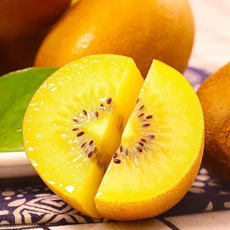 四川蒲江黄心金奇异果 12-24个装 汁多味甜 产地直发 坏果包赔