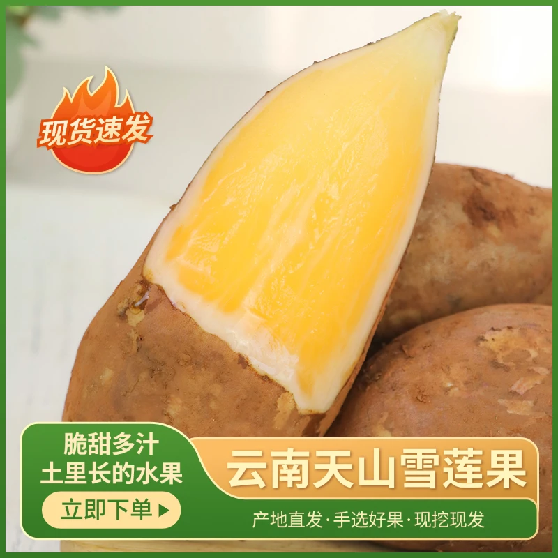 云南天山雪莲果【坏果包赔】脆甜多汁高山种植新鲜现挖现发YF