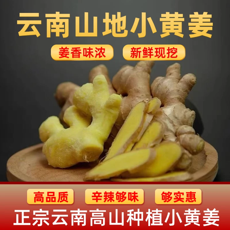 云南山地小黄姜【现挖新姜】嫩姜生姜产地直销姜香浓郁高山种植
