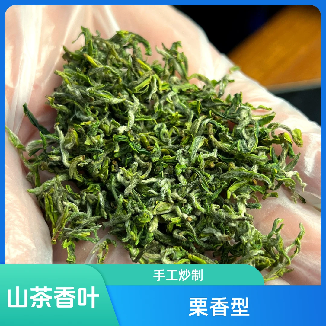 25年明前茶正宗陕西八仙特产高山云雾毛尖茶新茶开园网红口粮茶