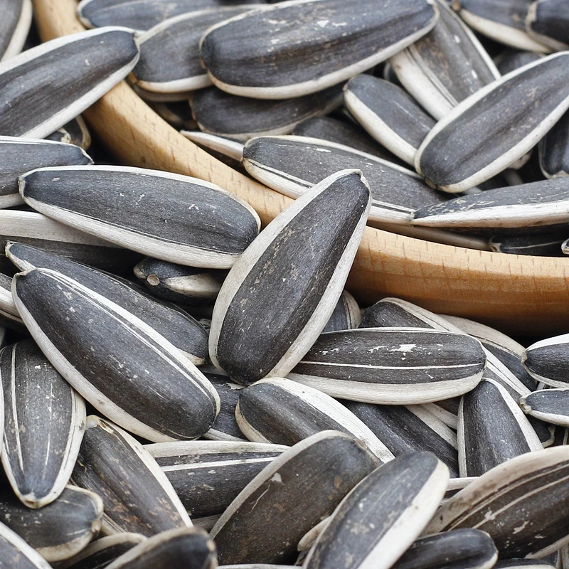 【品质升级：特大颗粒】原味葵花子瓜新货饱满坚果炒货瓜子休闲零食