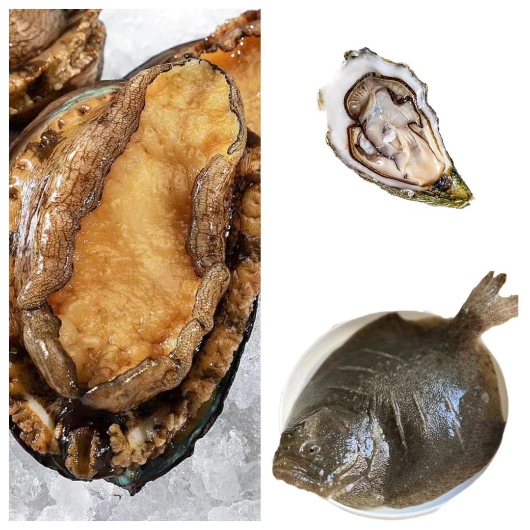 主播力推~海鲜套餐，鲍鱼8只，生蚝8只，多宝鱼1条