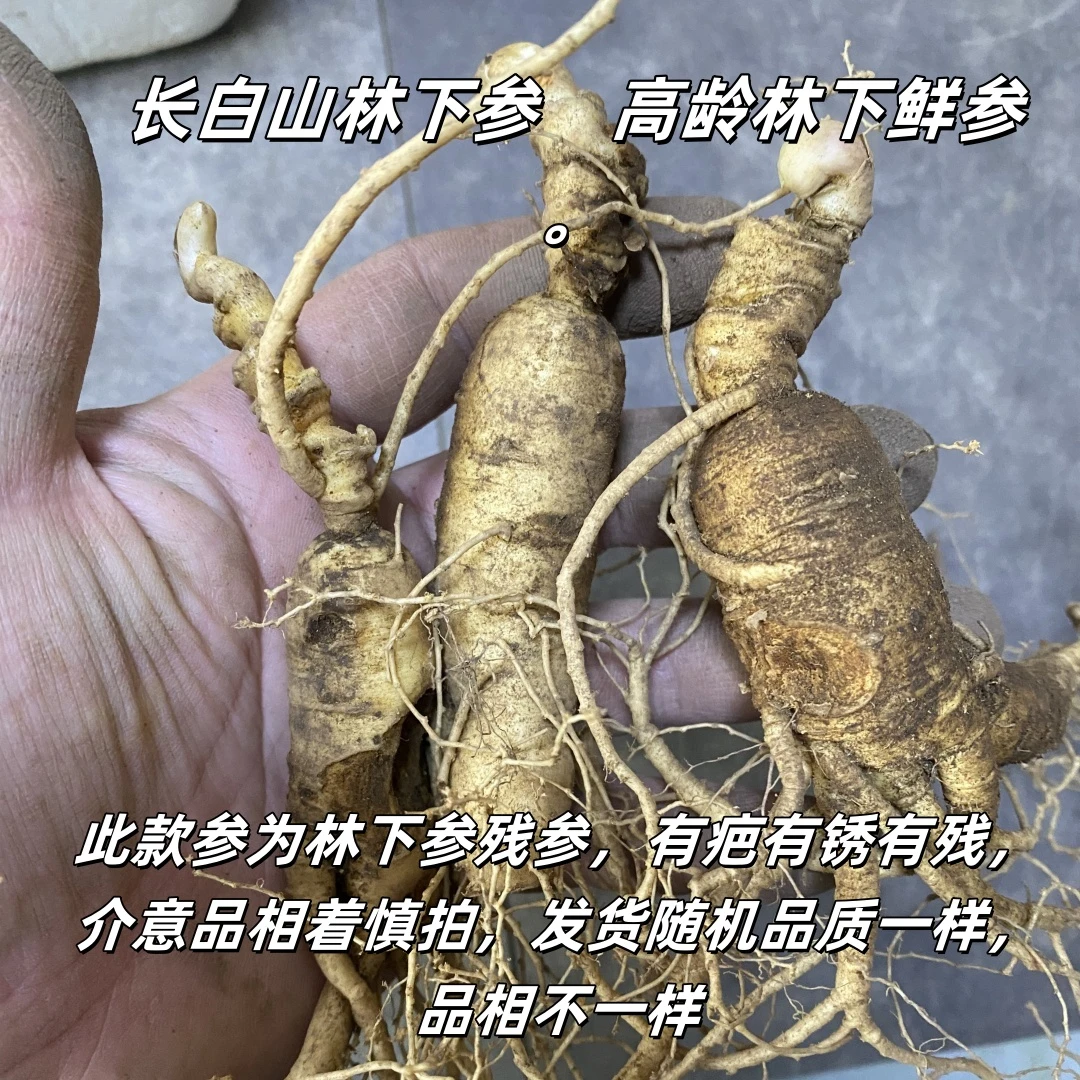 长白山林下山参高龄老残参有疤有锈品质高品相不好看自家实惠款