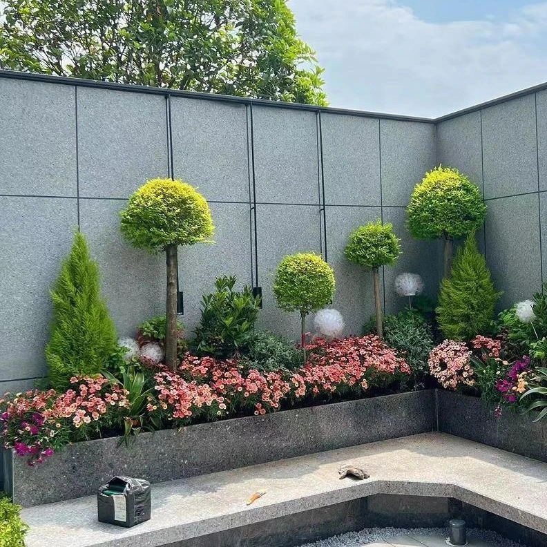 花境绿植冬盆栽窗台阳台庭院耐热观叶四季常青多年生好养花境植物