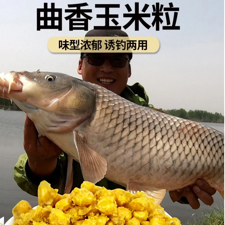 鲤鱼饵世图玉米主攻鲤鱼板鲫草鱼钓鱼钓饵矶钓水域通用曲香玉米
