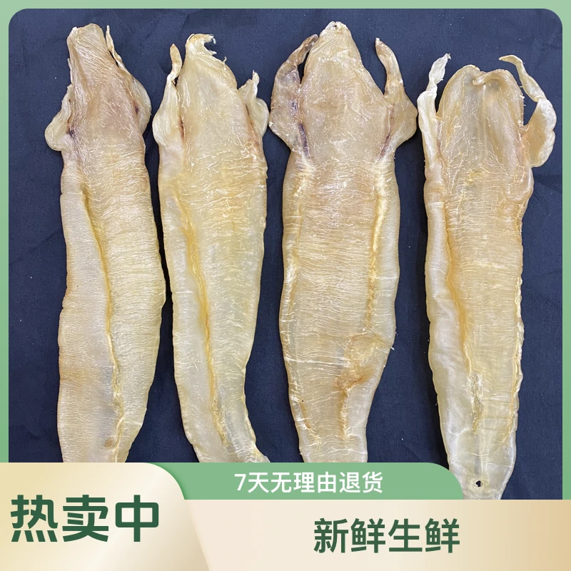 【隆盛滋补】巴公 北海公胶 1-500g (直播间现称花胶)