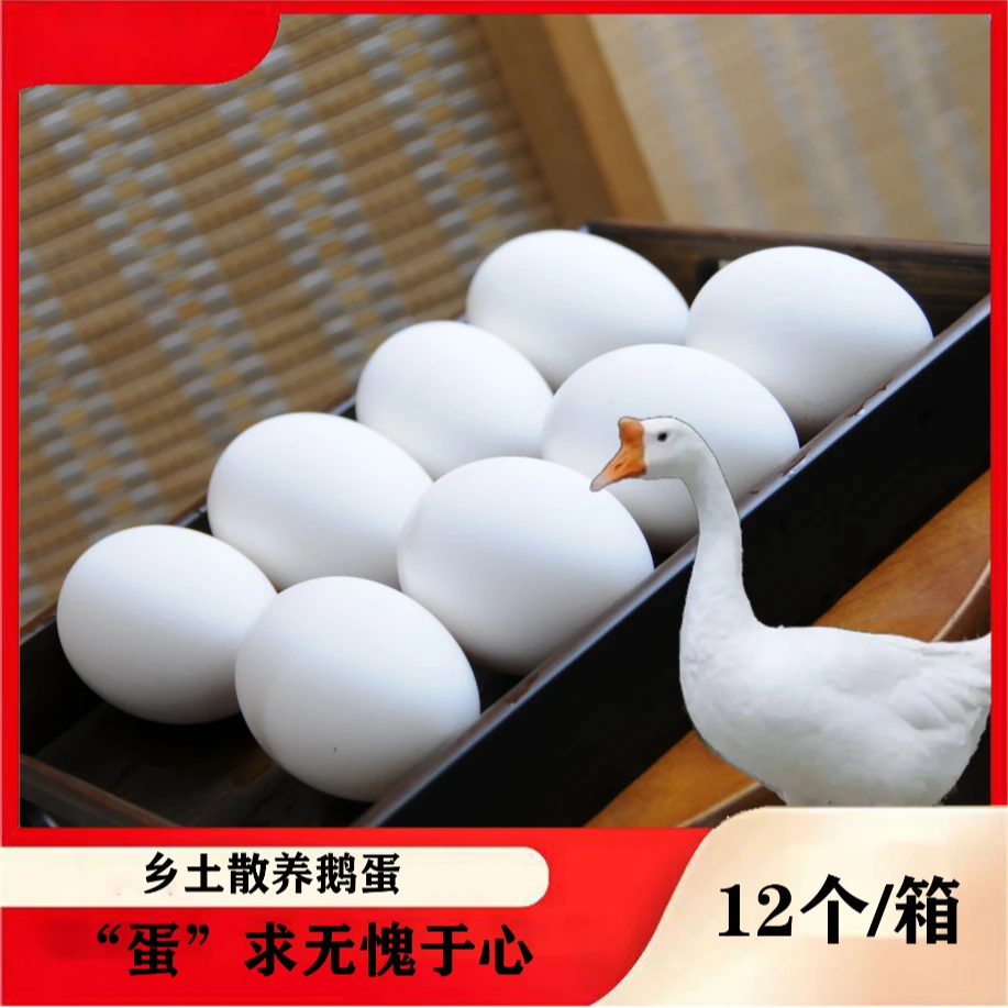 农村散养新鲜土鹅蛋现货现发12枚老少皆宜营养食用