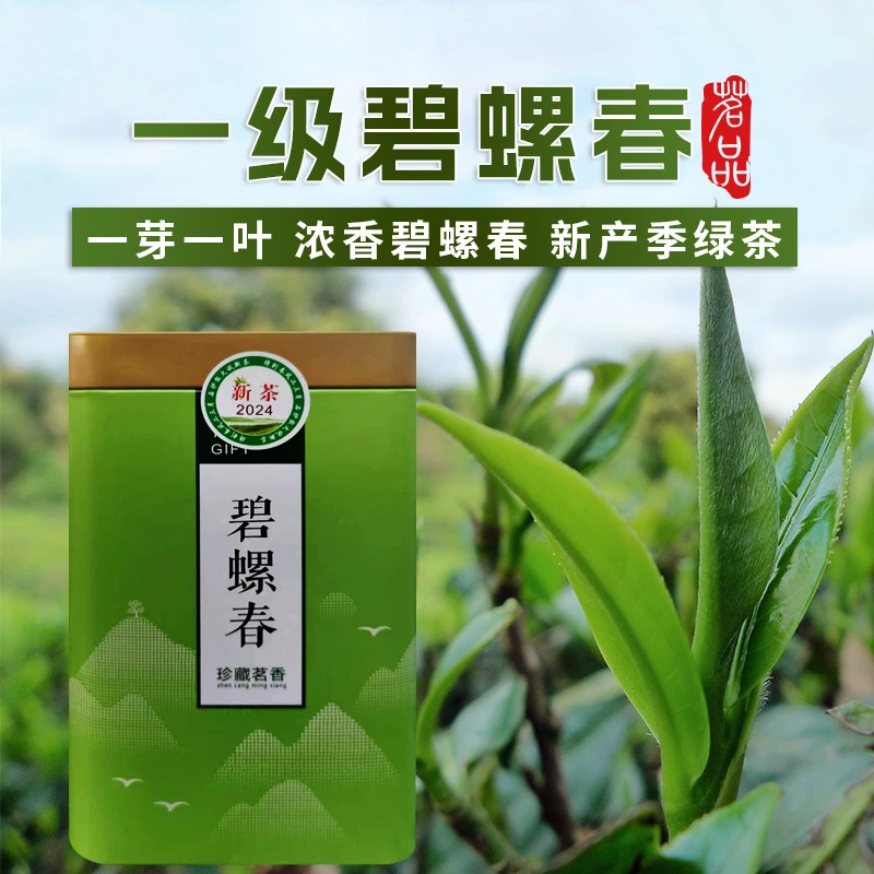 碧螺春罐装 云南滇绿茶茶叶 半斤散装绿茶 新产季浓香型绿茶