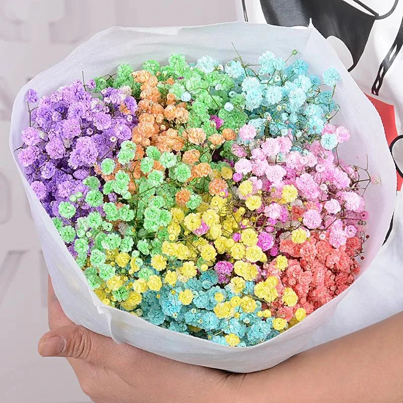 天然白色满天星干花花束束真花装饰摆件客厅摆设鲜花批发插花直发