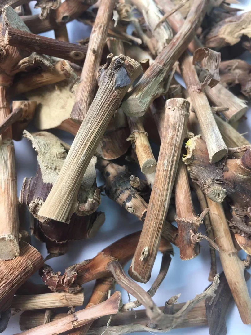 【精选推荐】春沙仁根 干货 100克/250克/500克