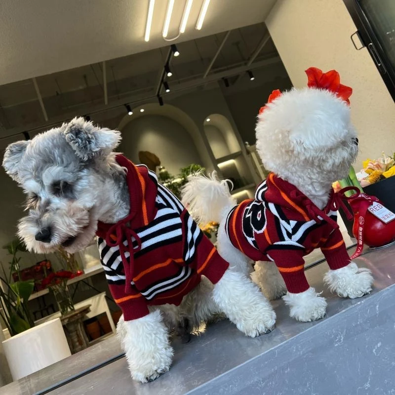 狗狗短款加厚保暖连帽宠物猫咪比熊雪纳瑞泰迪柴犬中小型犬毛衣冬