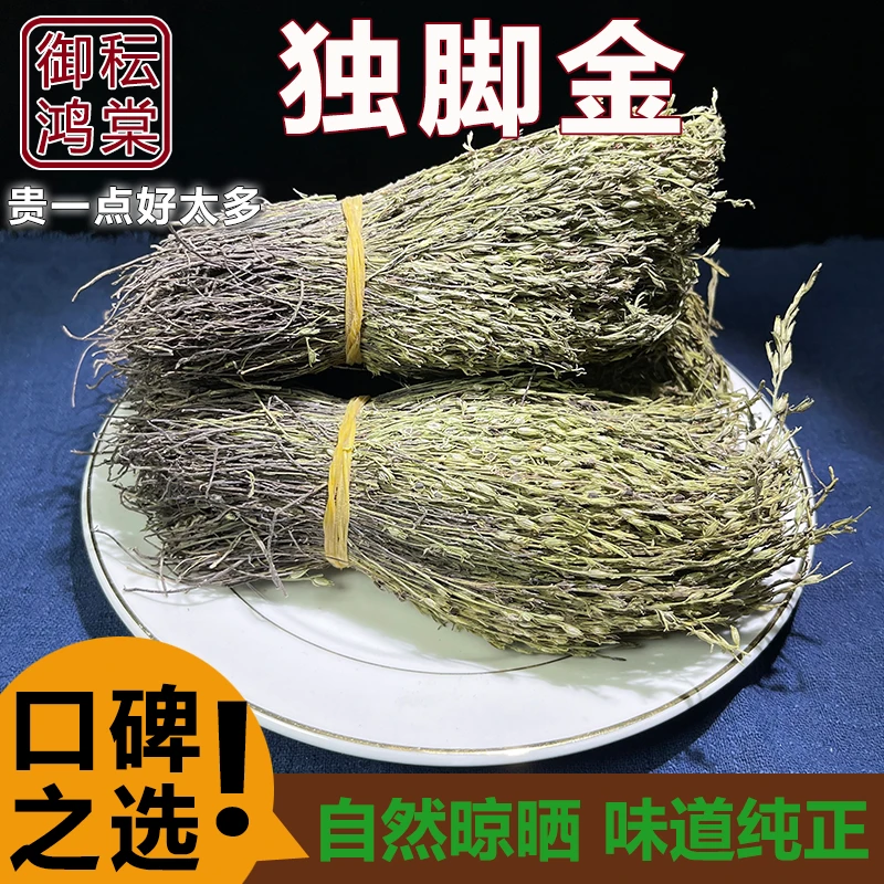 御秐鸿棠 独 角 金 甘积草积食(角米)