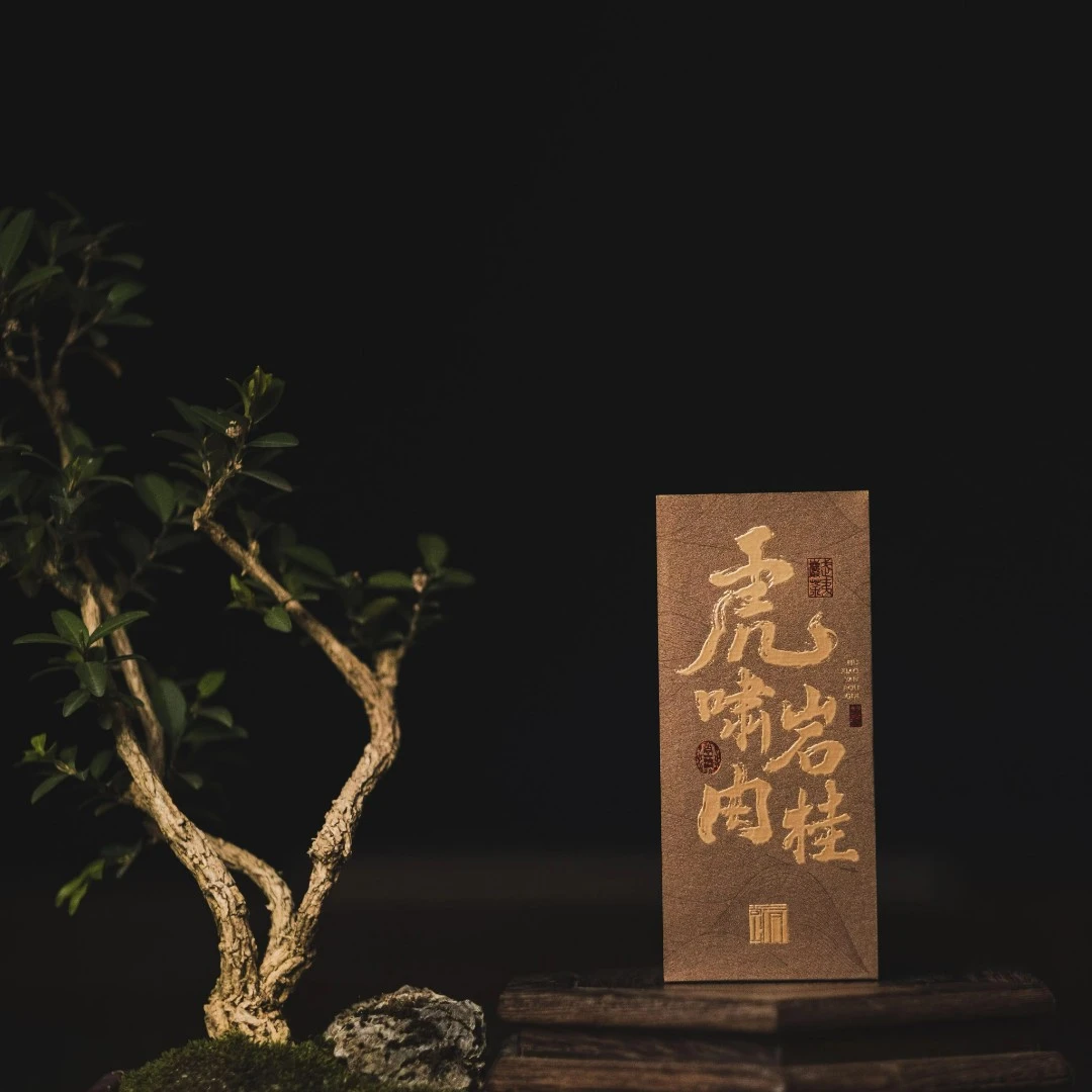 【虎啸岩·肉桂】8.3g*2泡品鉴装 武夷山茶叶武夷岩茶