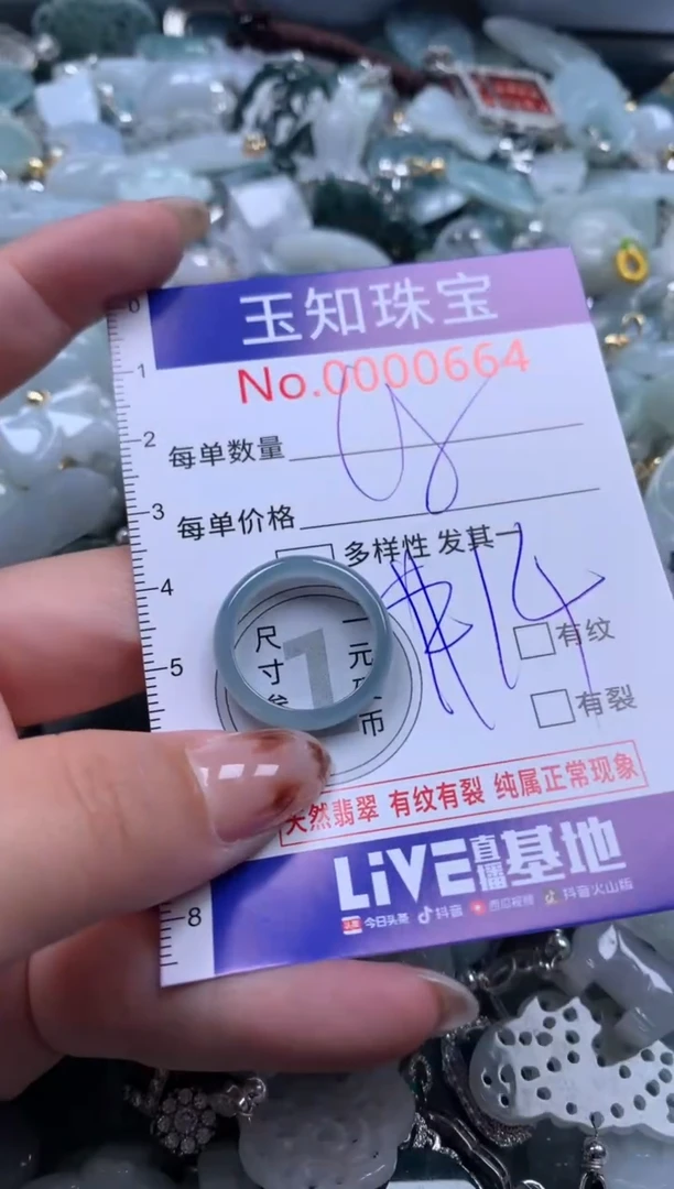 【闪购商品】翡翠吊坠(赠链)未镶嵌664