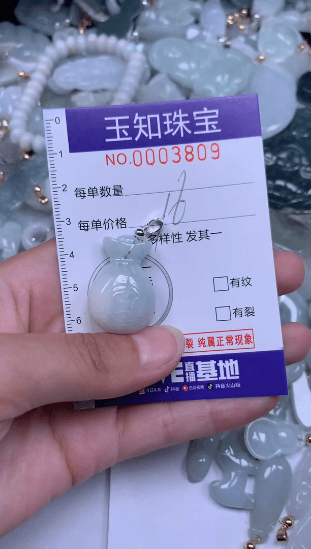 【闪购商品】翡翠颈饰未镶嵌3809期望