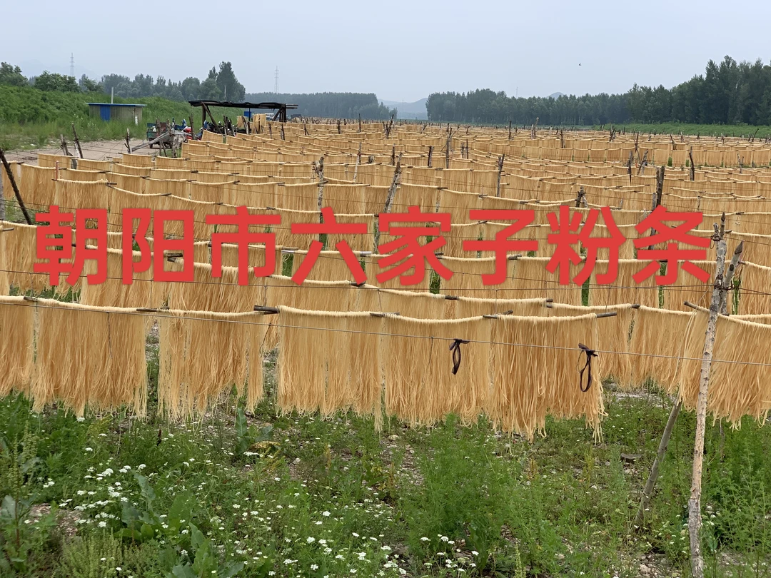 【三宝之家】朝阳河沿子手工粉条5斤宽细可选