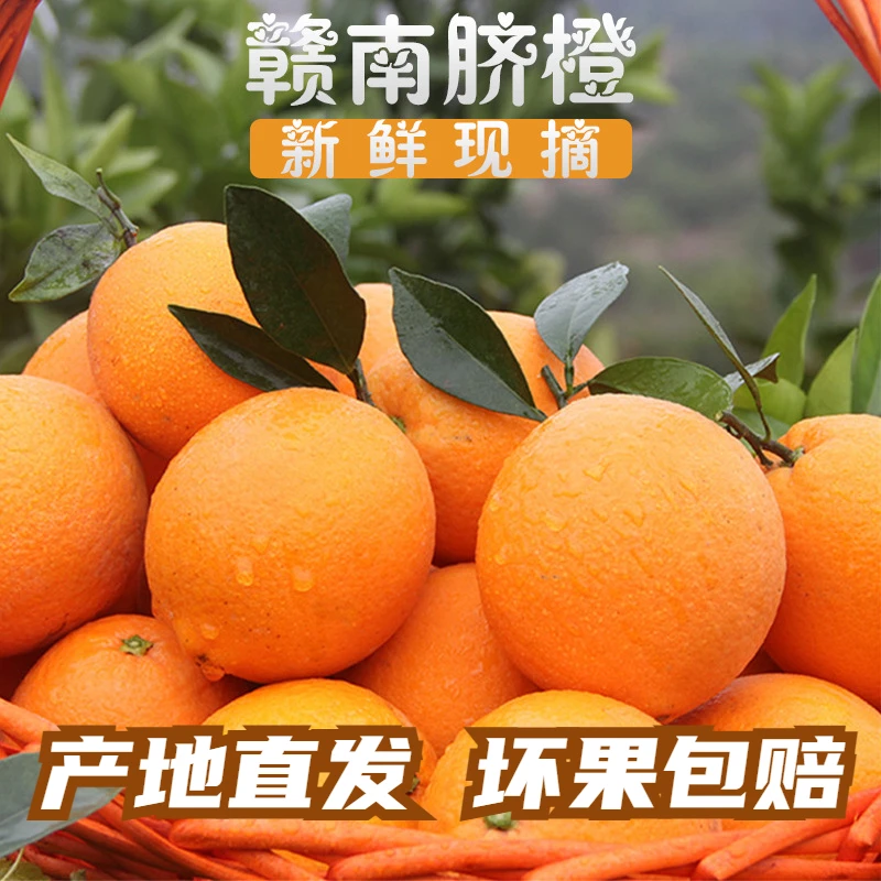 【产地直发】正宗江西赣南脐橙5-10斤新鲜采摘天然种植现摘细腻皮薄