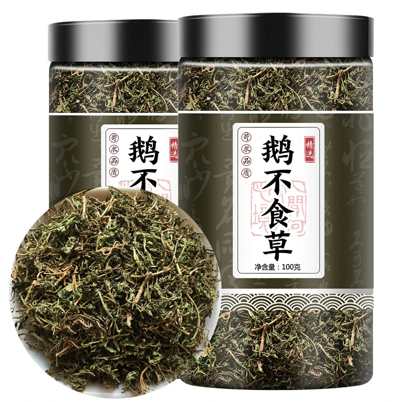 鹅不食草中药材 野生鹅不食草100g包邮 新鲜叶菜干货鹅不食草