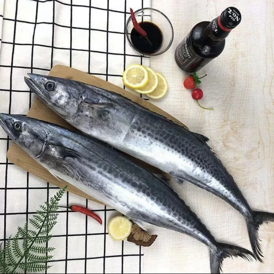 广东湛江天然海鲜小马鲛鱼