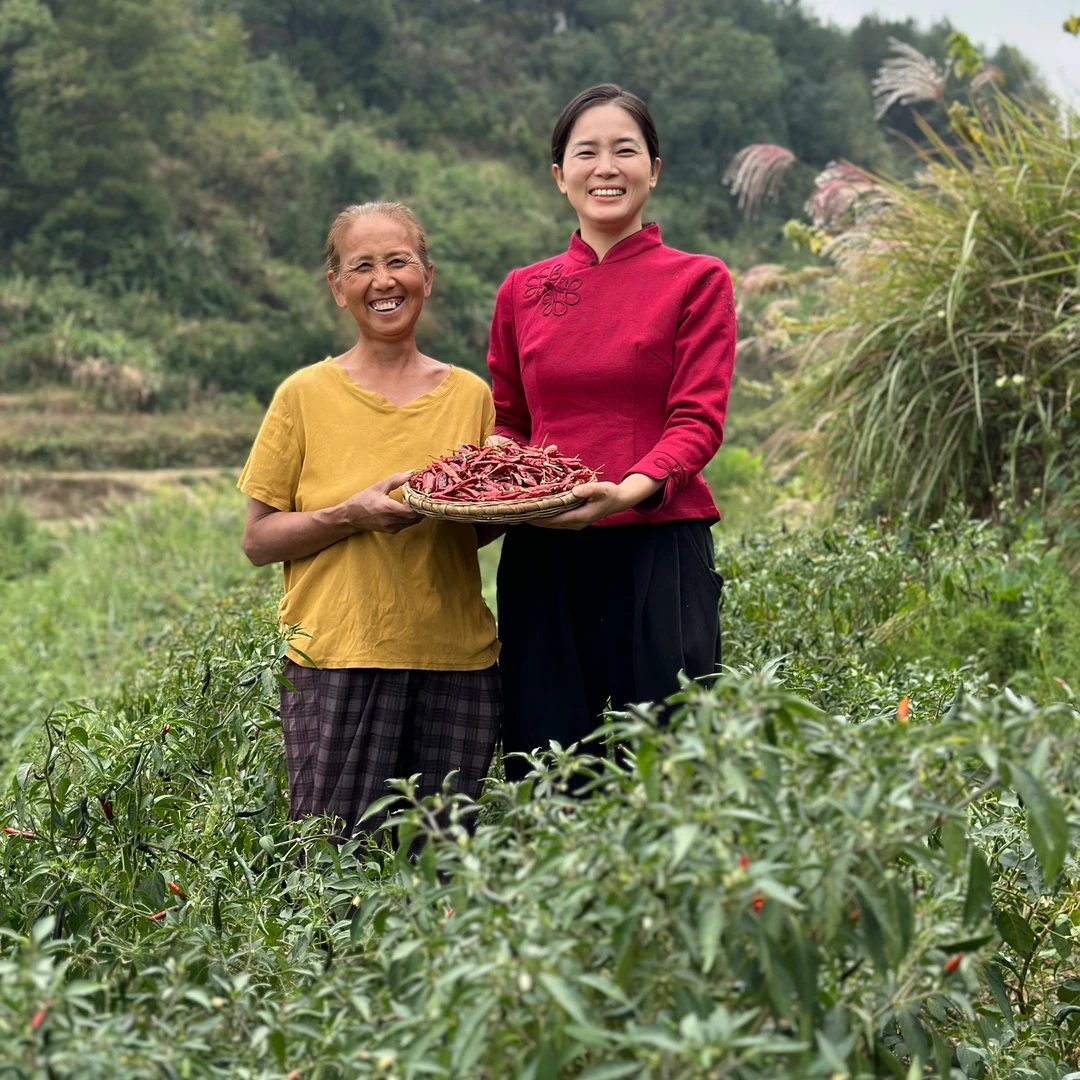 张三妹代卖朝天椒 干辣椒