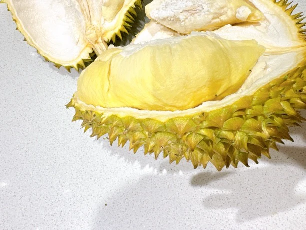 泰国树上熟金枕榴莲一颗