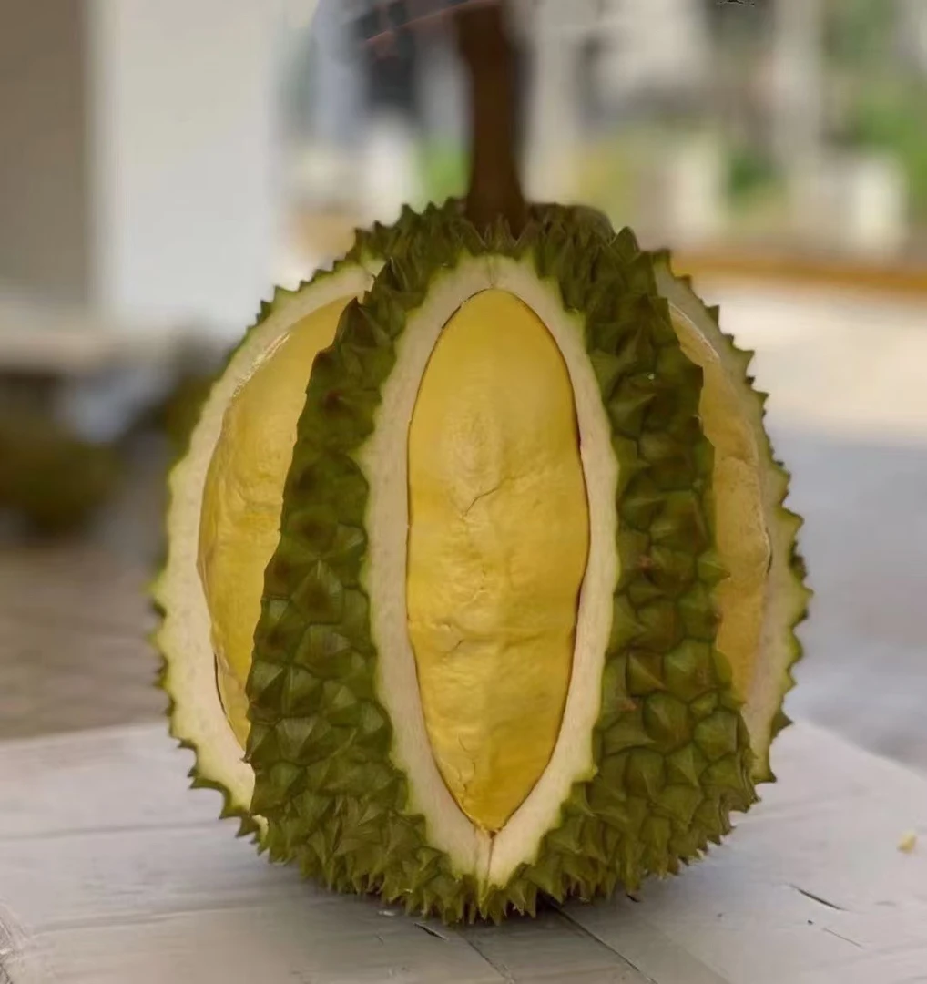 泰国树熟金枕纯肉