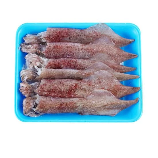 会员商店 三去红鱿鱼 600g/份