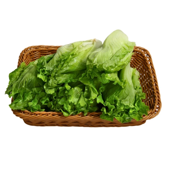 供港生菜 600g/份