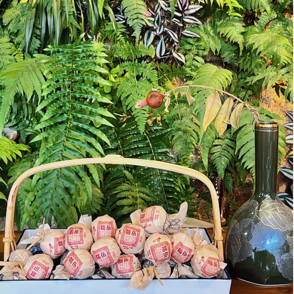 【糯伍龙珠7克/颗】云南大叶种普洱生茶龙珠纯手工捏制香甜果香耐泡