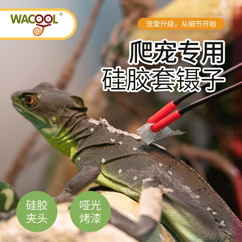 REPTIZOO/瑞皮玩酷爬宠不锈钢镊子蜥蜴守宫角蛙蛇喂食硅胶套镊子
