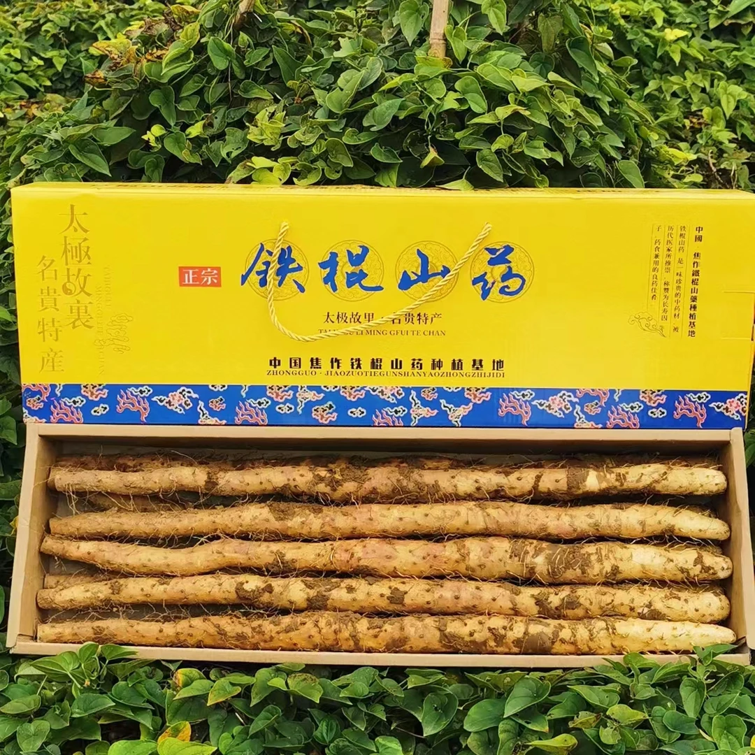 温县垆土铁棍山药 新鲜怀山药 软糯甘面甜 净重5斤礼盒装产地直发